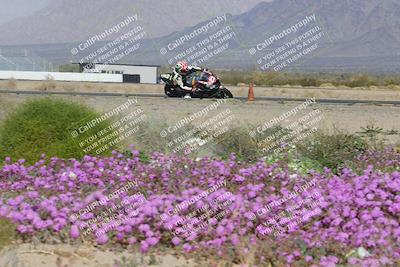 media/Feb-04-2023-SoCal Trackdays (Sat) [[8a776bf2c3]]/Turn 15 Inside Blooming (1050am)/